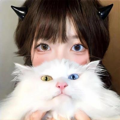 太阳花